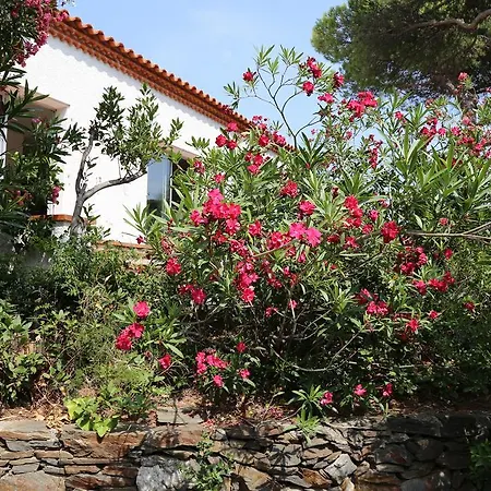 Domaine Val Auclair Bleu Terrasses * Port Vendres