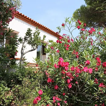 Domaine Val Auclair Bleu Terrasses Port Vendres